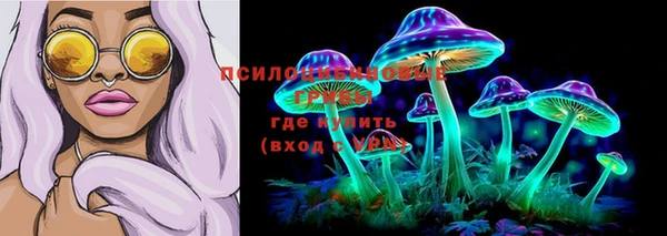 МДПВ Богородицк