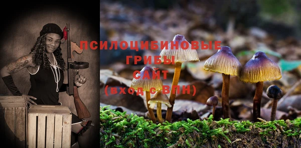 МДПВ Богородицк