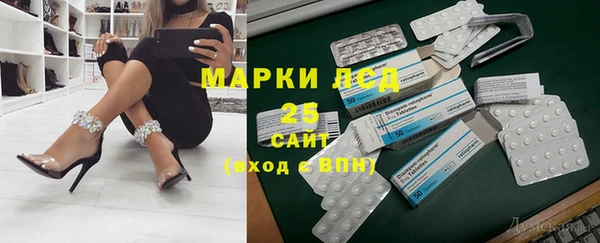 амф Богданович